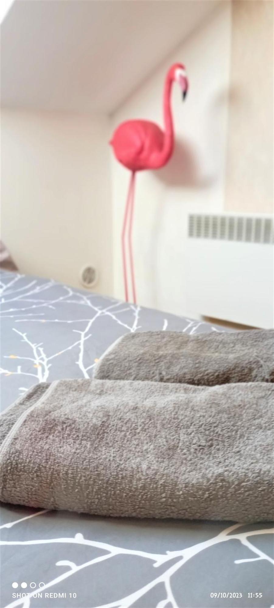 Studio Double 13 Avec Wifi Limoges Ngoại thất bức ảnh